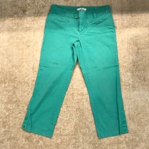 LOFT Marisa Capri Style Dress Pants